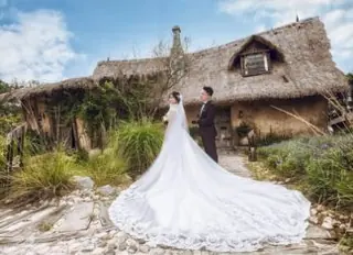 Wedding Gown Trains