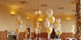 Balloon Elegance